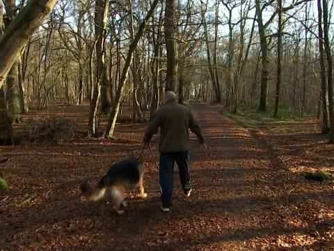 15 km de chemins "pieds propres" à Neupré