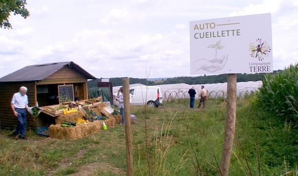 Un marché circuit court à Mortier