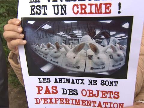 Ils manifestent contre l'expérimentation animale
