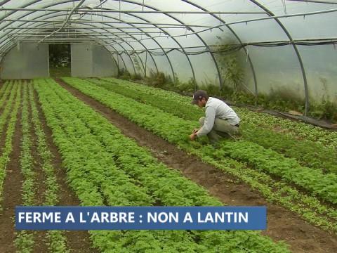 Extension de Lantin : une ferme bio en péril 