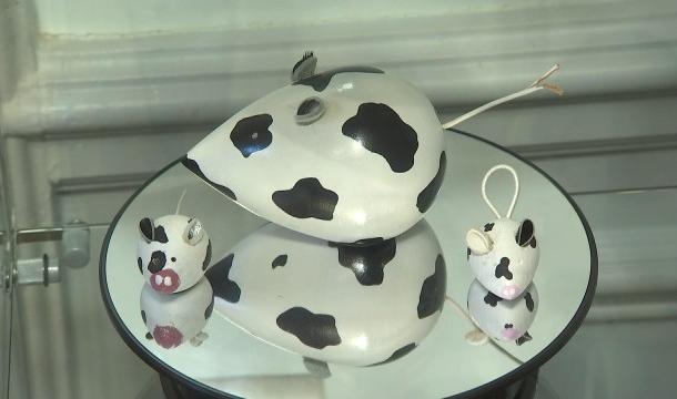 Ce Liégeois voit des souris partout !