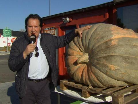 Un potiron de 605 kilos pour le Resto du Coeur  