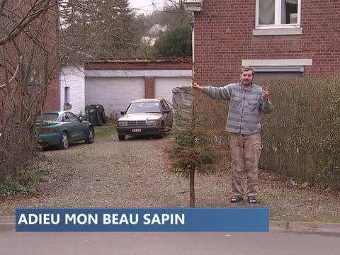 Collecte de sapins : aussi pour les grands feux...