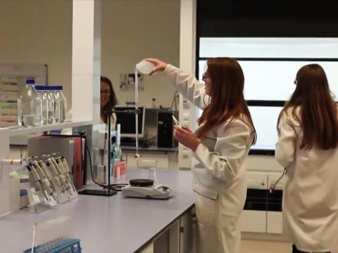 KitoZyme renforce ses applications oenologiques