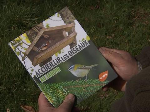 Comment accueillir les oiseaux au jardin? 