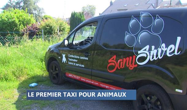 Le premier taxi pour animaux en province de Liège