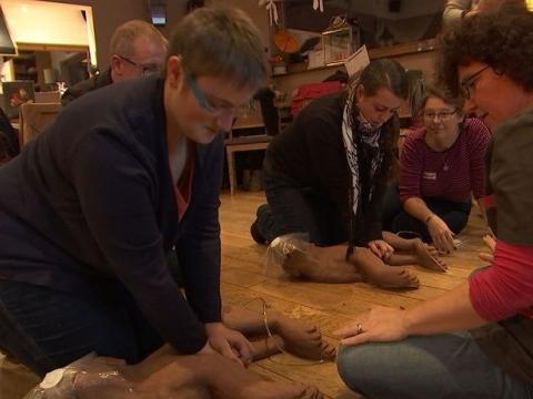Animaux : se former aux premiers soins 