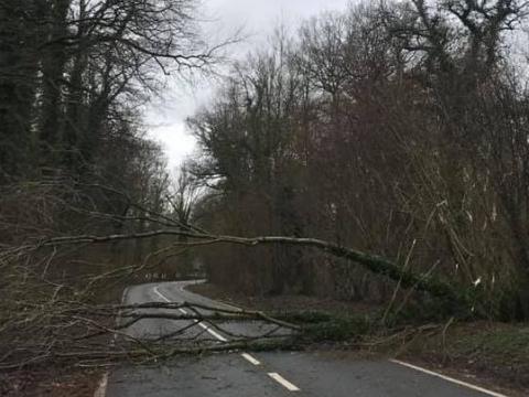 Tempête : votre assurance vous couvre-t-elle ?