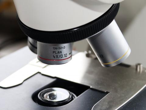 Une molécule naturelle pour venir soutenir un traitement contre le cancer du colon (ULiege)