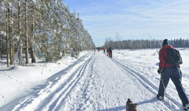 Envie de skier ce vendredi ?