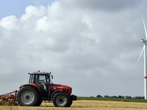 Le marché des terres agricoles toujours à la hausse en Wallonie, mais pas à Liège
