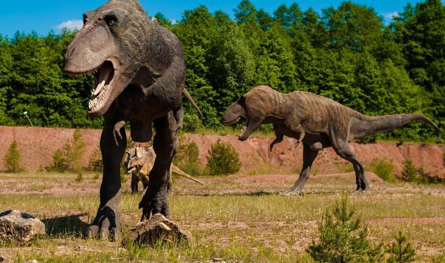 Des dinosaures à Remouchamps !