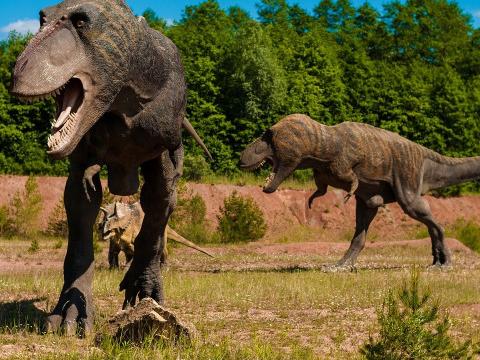 Des dinosaures à Remouchamps !