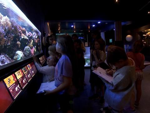 Un stage à la découverte des créatures EXTRAordinaires