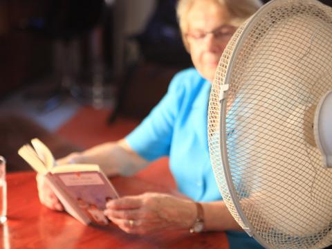 Chaleur : Huy va déclencher son 3ème plan canicule de l'été