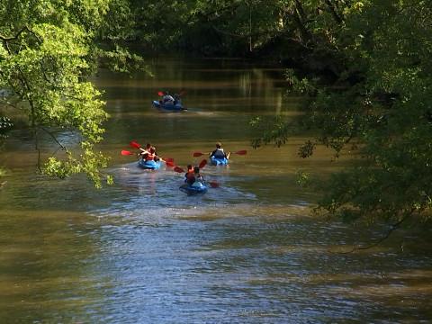 Les kayaks de retour sur l'Ourthe