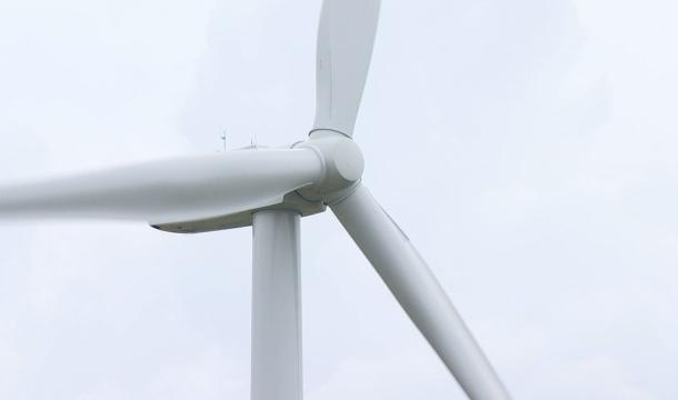 Vent: les parcs et les cimetières liégeois fermés ce lundi matin