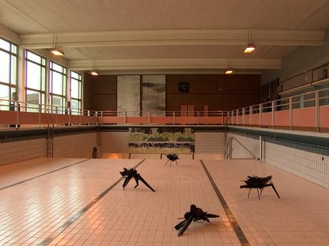 31 artistes contemporains font revivre la piscine de Hannut
