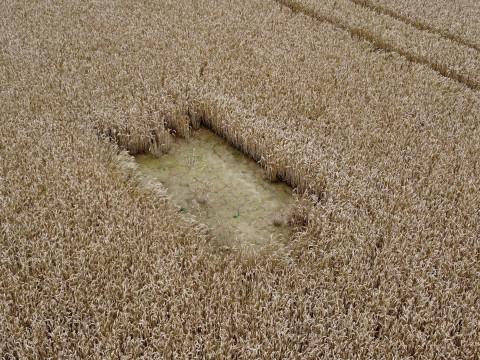 Le Parc Naturel Burdinale-Mehaigne s'adapte au changement climatique