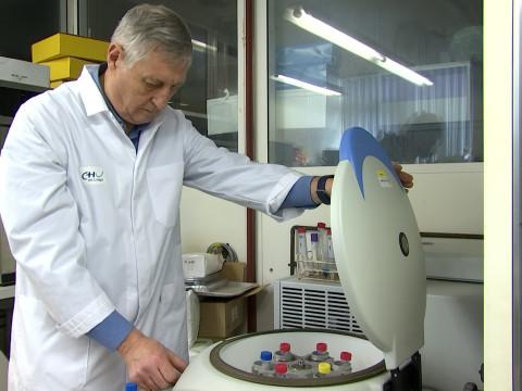 Antioxydants: passez de la science à l’assiette