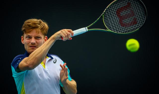 ATP Monte-Carlo : Goffin écarte Evans et file en 1/8èmes