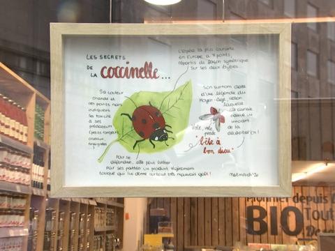 Les artistes s'exposent dans des lieux inédits