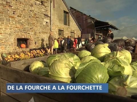 Asbl Devenirs : des enfants découvrent le parcours des légumes 