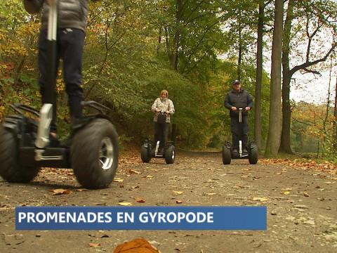 Balade en gyropode à Visé
