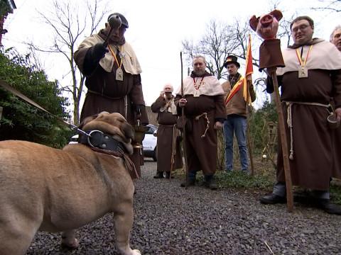Bénédiction des animaux par la confrérie de Saint-Antoine