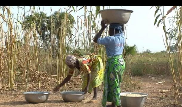 Bénin : les Iles de Paix travaillent à la formation des agriculteurs