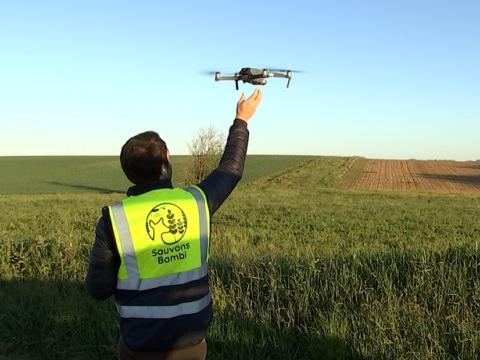Quand des drones volent au secours de Bambi