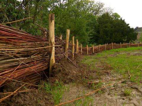 Braives: des fascines en saule contre les coulées de boue