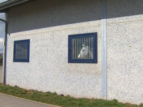 Chevaux en confinement: épidémie de rhinopneumonie équine 