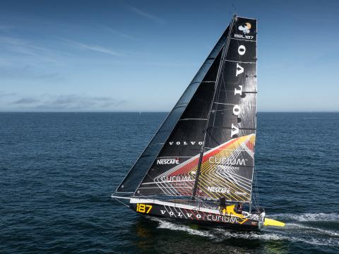 Collision avec une baleine : dégâts importants sur le bateau de Jonas Gerckens