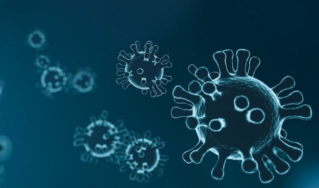 Coronavirus : le nombre de nouvelles infections augmente de 11%