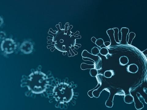Coronavirus : le nombre de nouvelles infections augmente de 11%