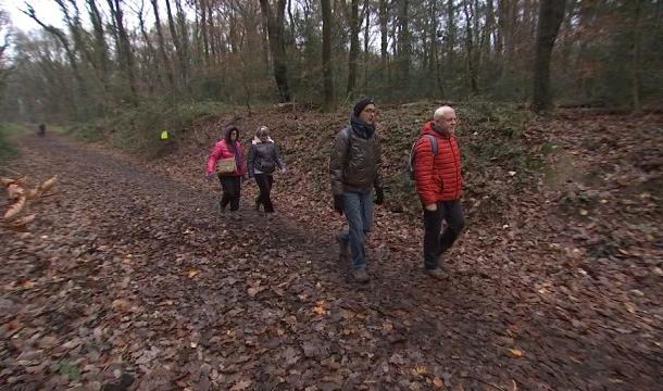 Découverte de la marche en forêt sérésienne