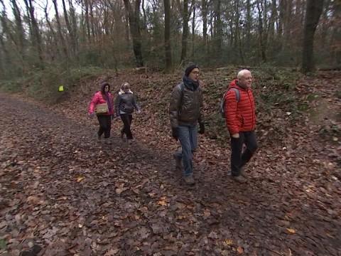 Découverte de la marche en forêt sérésienne