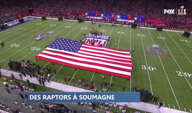 Des raptors à Soumagne