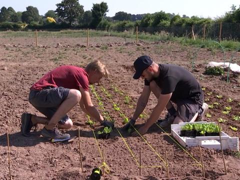 Faimes: "Les jardins du Chevalier" comme outil de réinsertion 