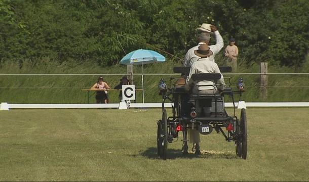 Flémalle : 95 inscrits au concours national d'attelage 