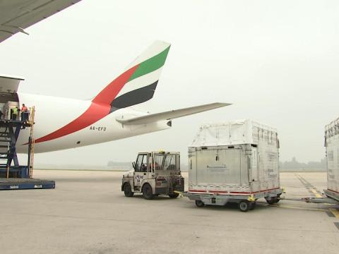 Forem et Liège Airport : des centaines d'emplois!