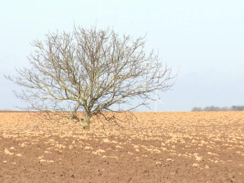 Générations Terre: comment aller vers une agriculture durable