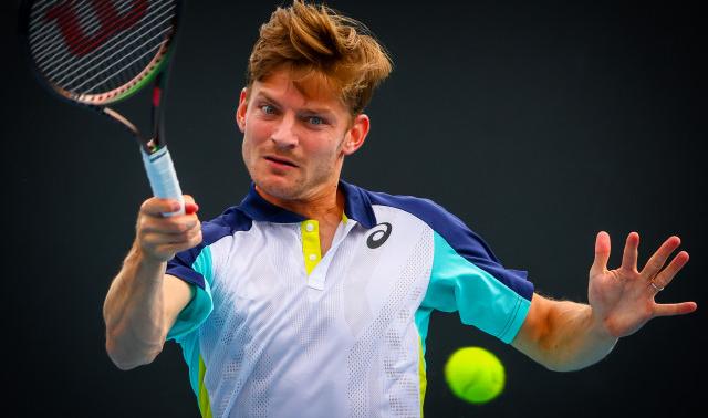Goffin : "Mon meilleur match depuis un moment"
