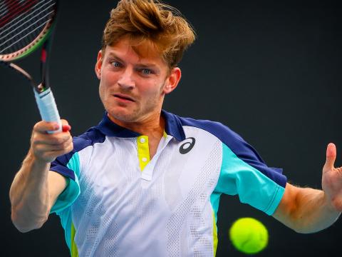 Goffin : "Mon meilleur match depuis un moment"