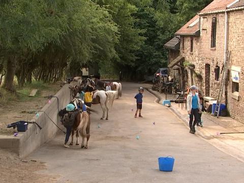 Gomzé-Andoumont: l'asbl Pégase a du mal à nouer les deux bouts