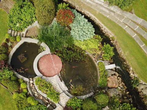 Hermalle-sous-Argenteau : un jardin à découvrir 