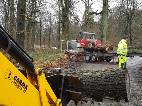 Huy : une scierie mobile pour valoriser les arbres communaux