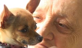 Os'mose, des chiens d'aide et d'assistance