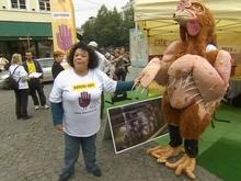GaÍ¯a sensibilise au sort des poules